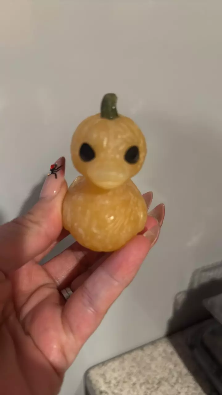 plant/Orange calcite pumpkin head-0