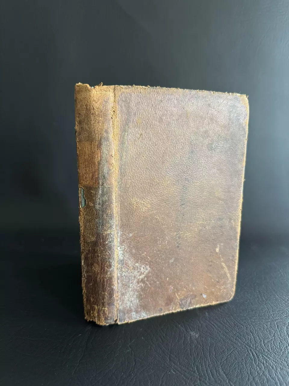 plant/Rhetorical Reader book 1852-0