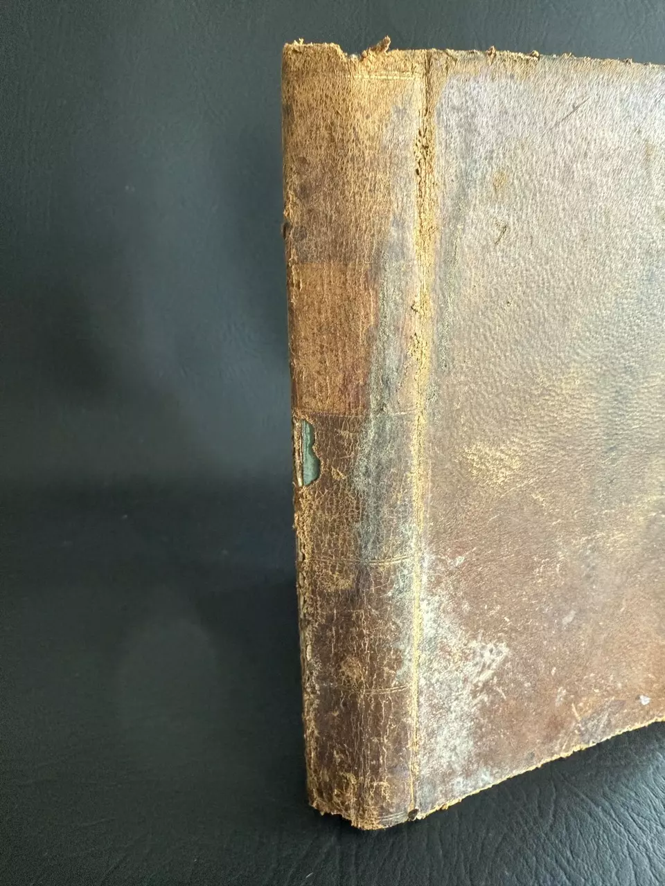 plant/Rhetorical Reader book 1852-1