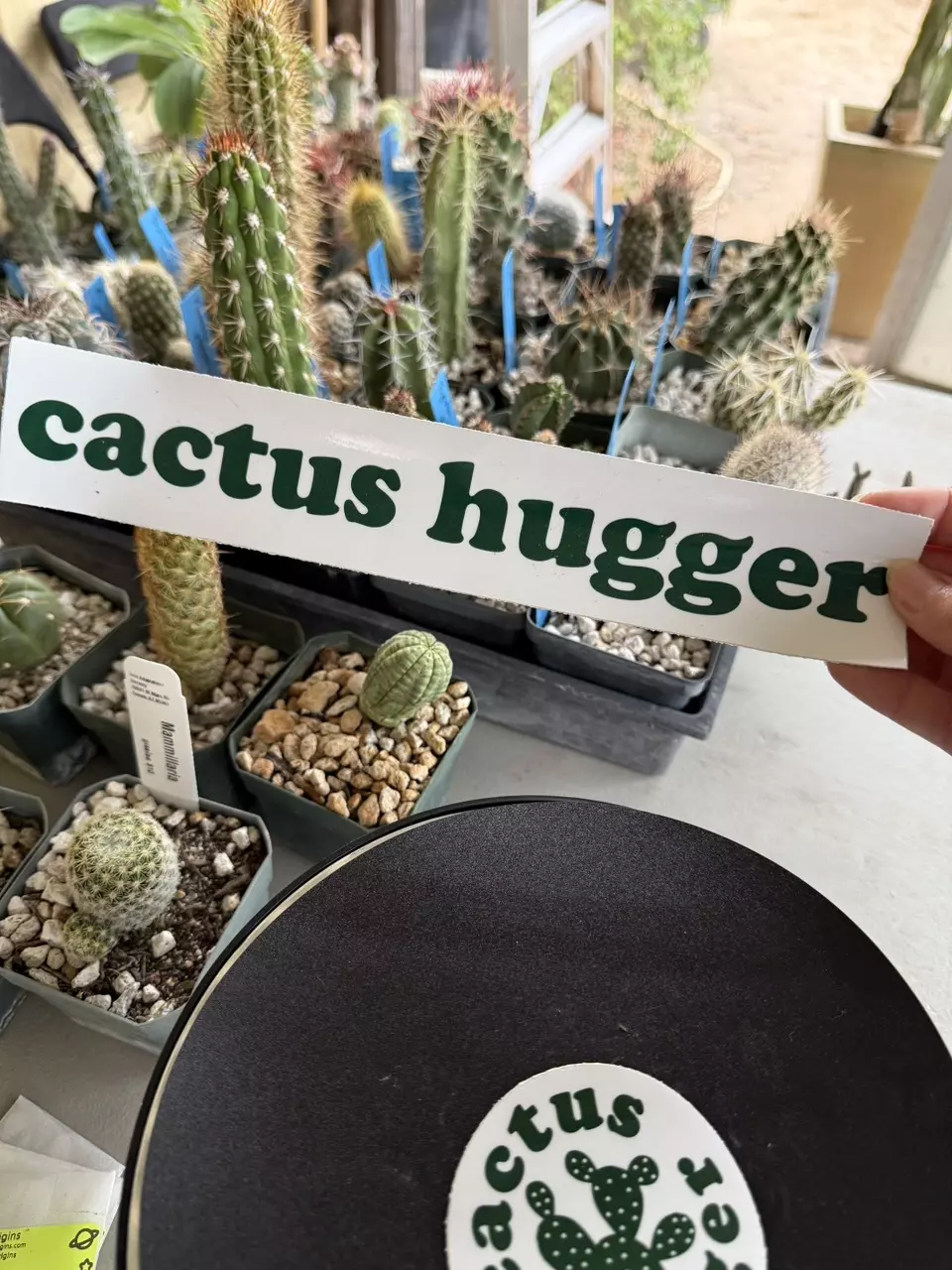 plant/Long cactus hugger sticker-0