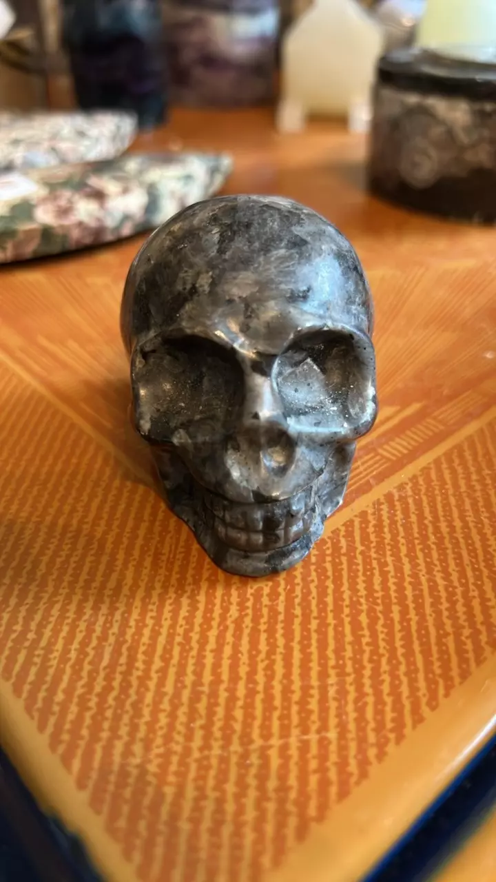 plant/Larvakite skull-0