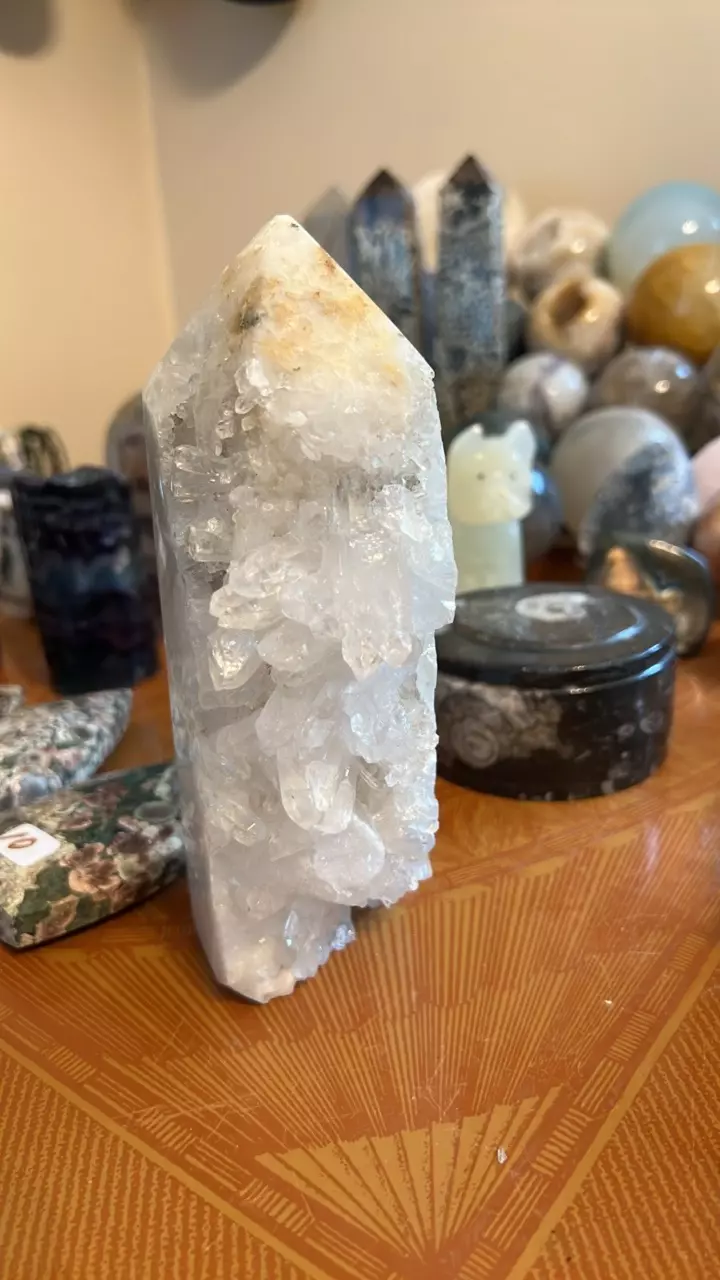 plant/Quartz tower 7”-1