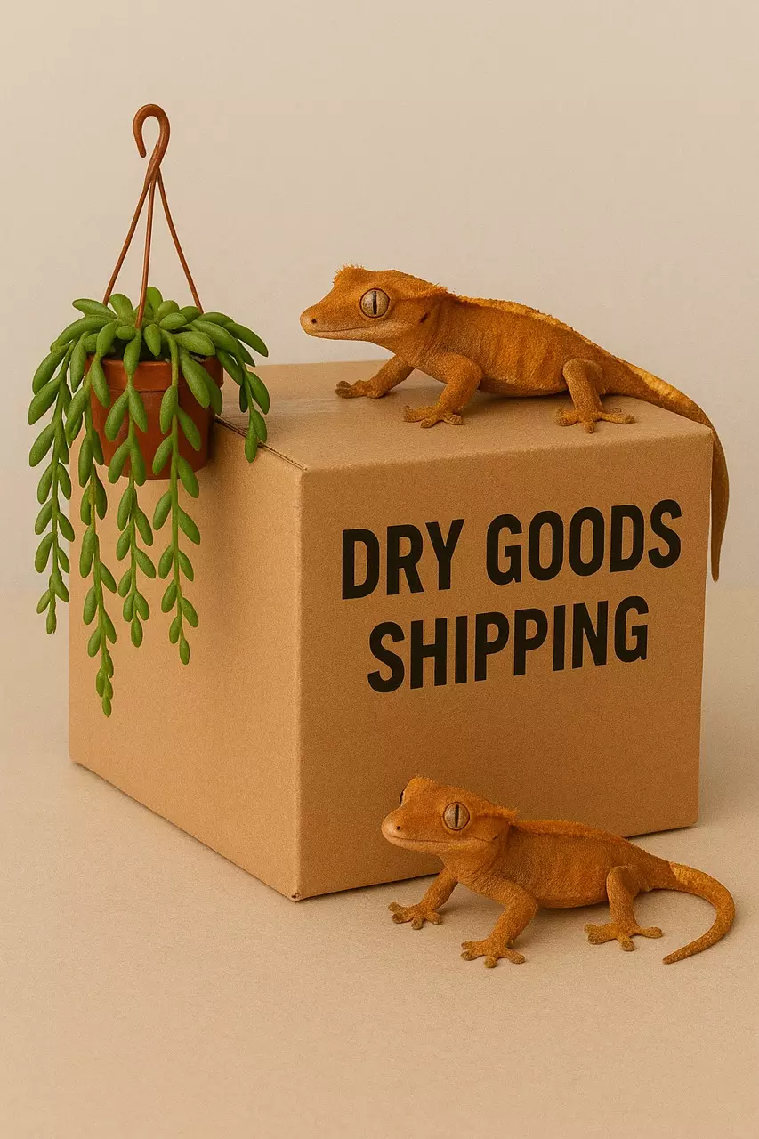plant/Dry good shipping-0