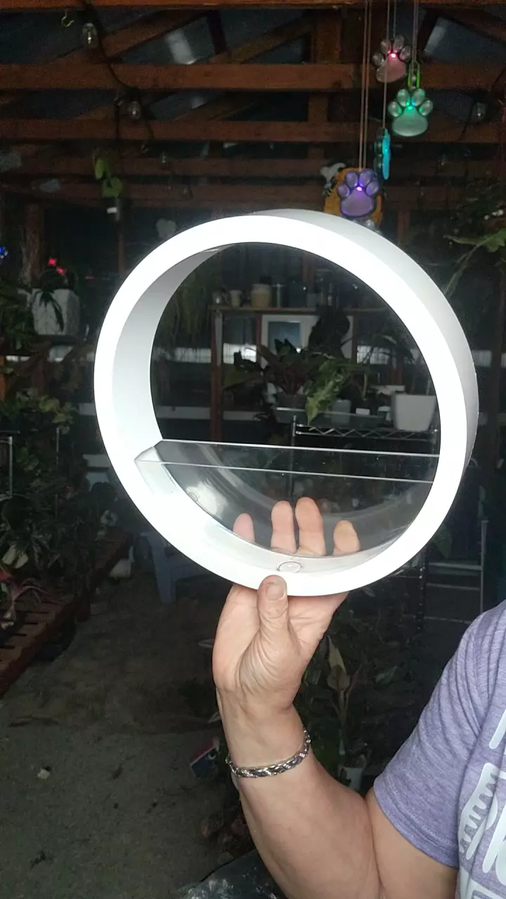 plant/White Wall planter-0