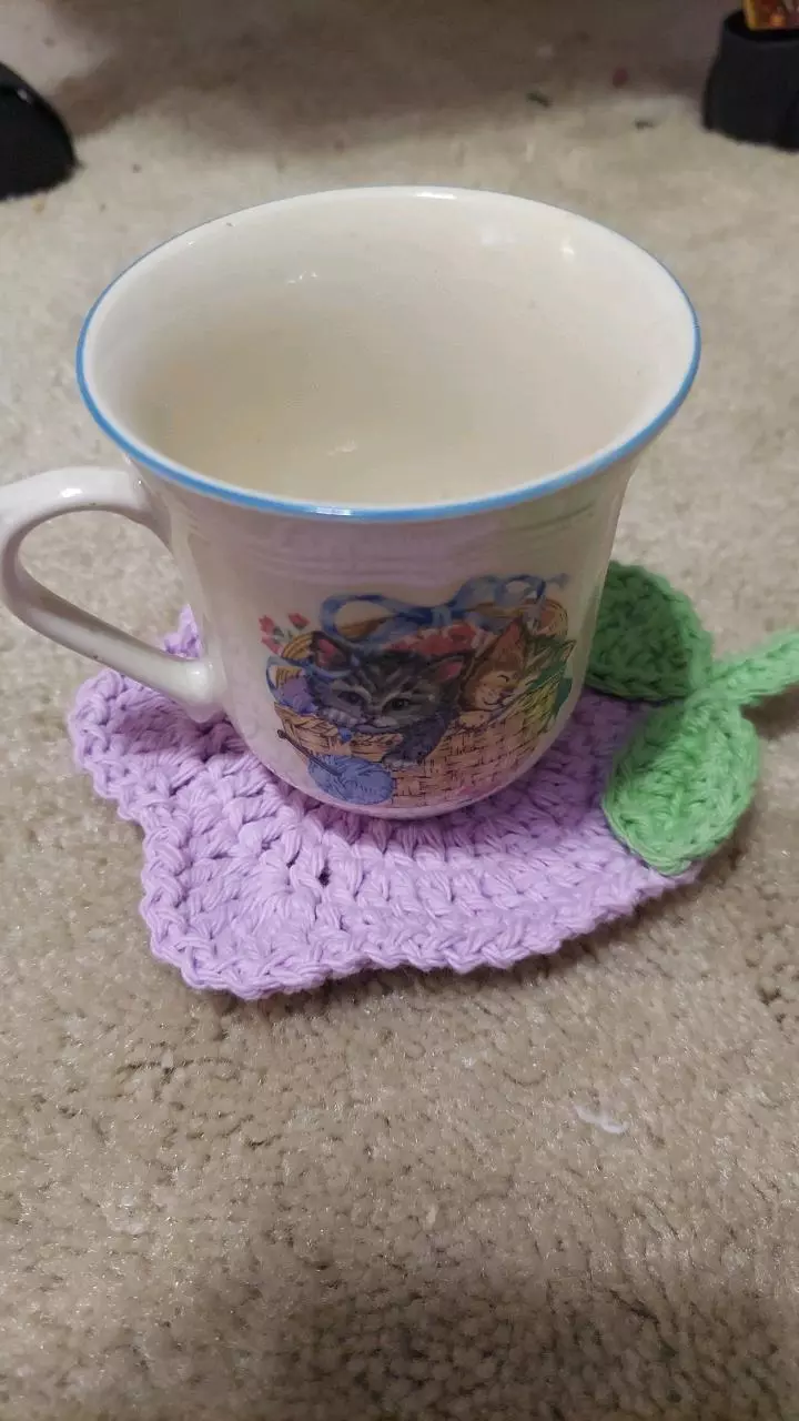 plant/Set of 6 coasters-1