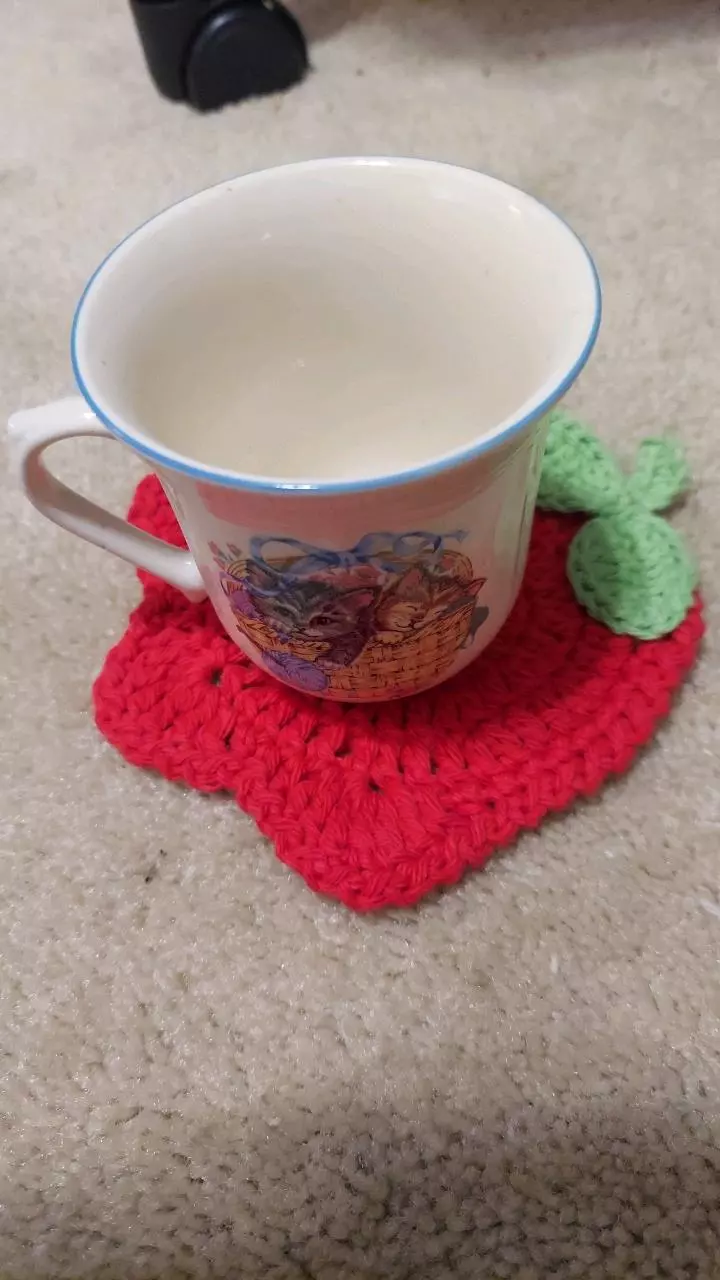 plant/Set of 6 coasters-1