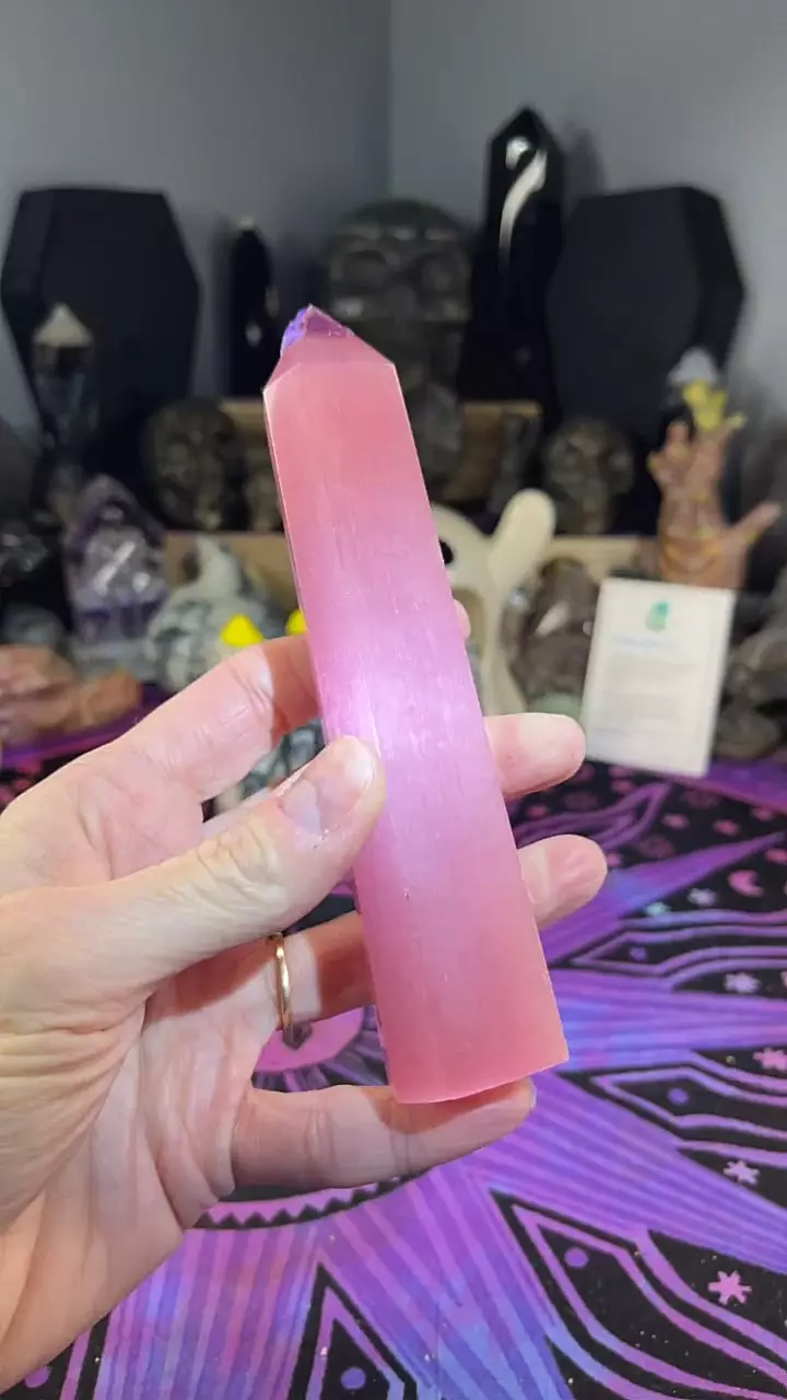 plant/Pink Cat Eye Tower-0