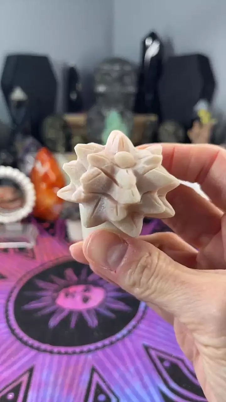 plant/Pink Opal Succy-0