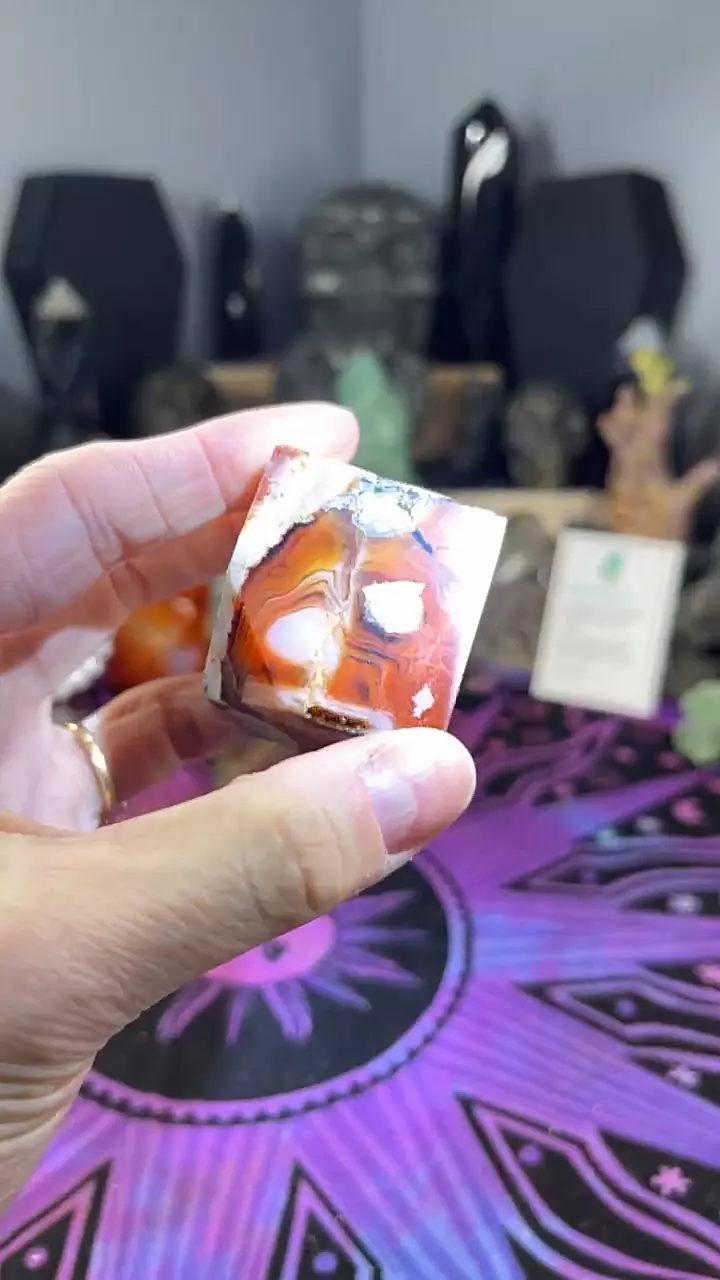 plant/Sardonyx Cube 2-0