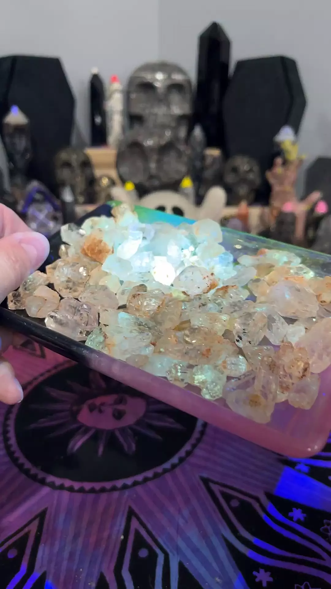 plant/UV Herkimer-0