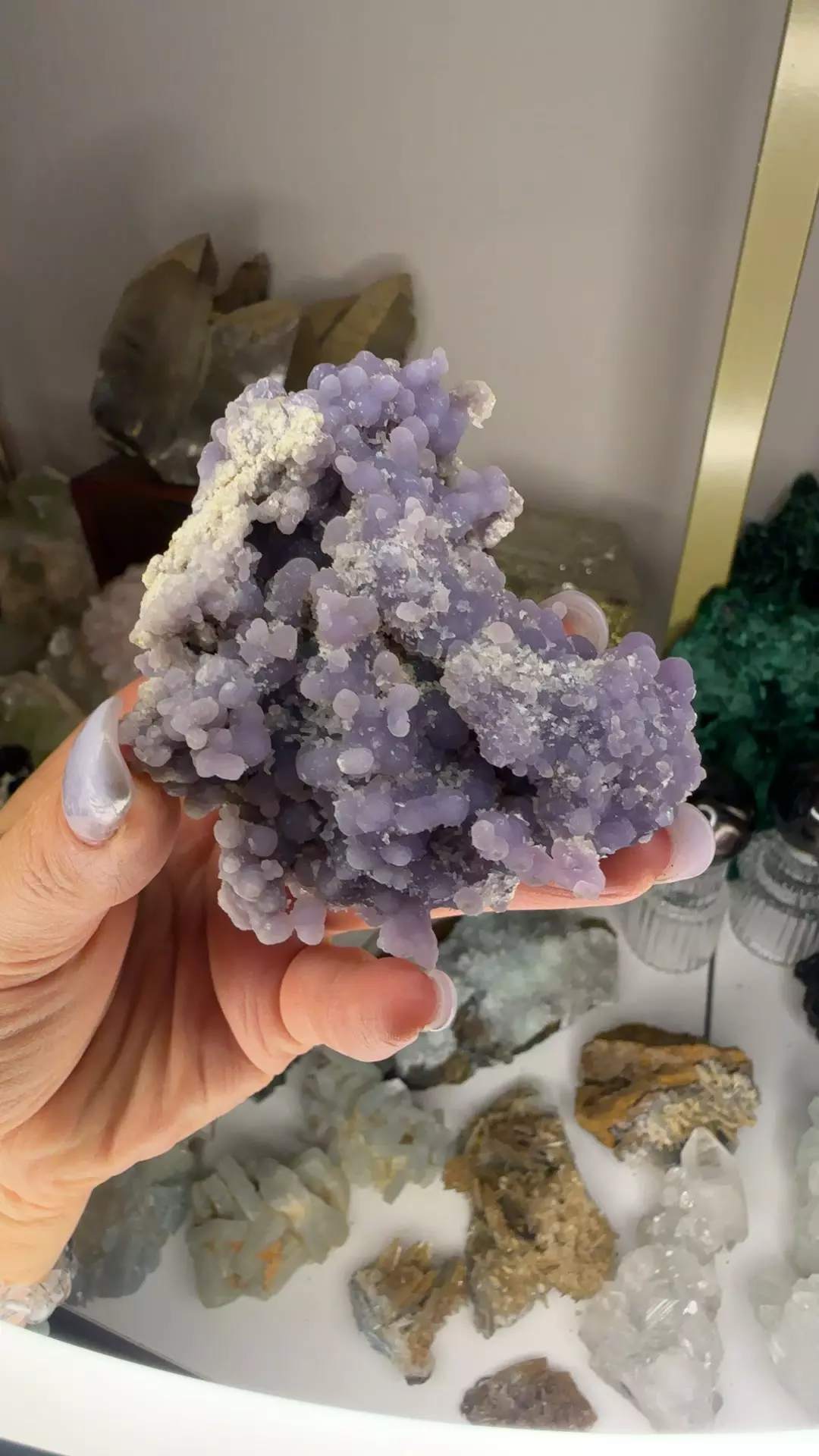 plant/Grape agate-0