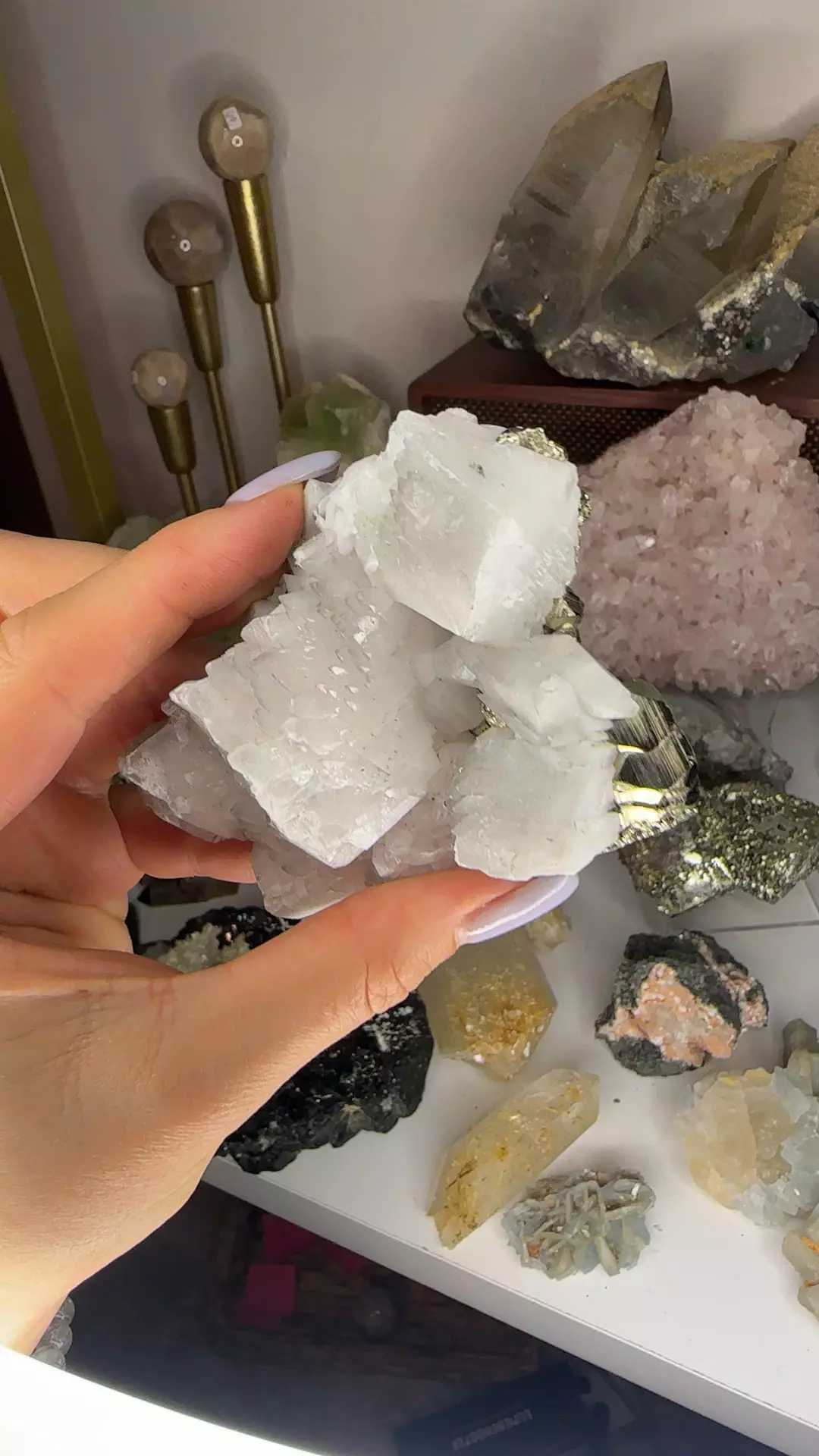 plant/Mangano calcite with pyrite-0