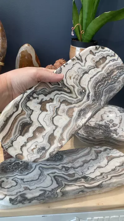 plant/onyx tray-0-thumbnail