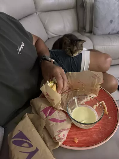 plant/Please choose overnight shipping if day temps 30° or colder-0-thumbnail