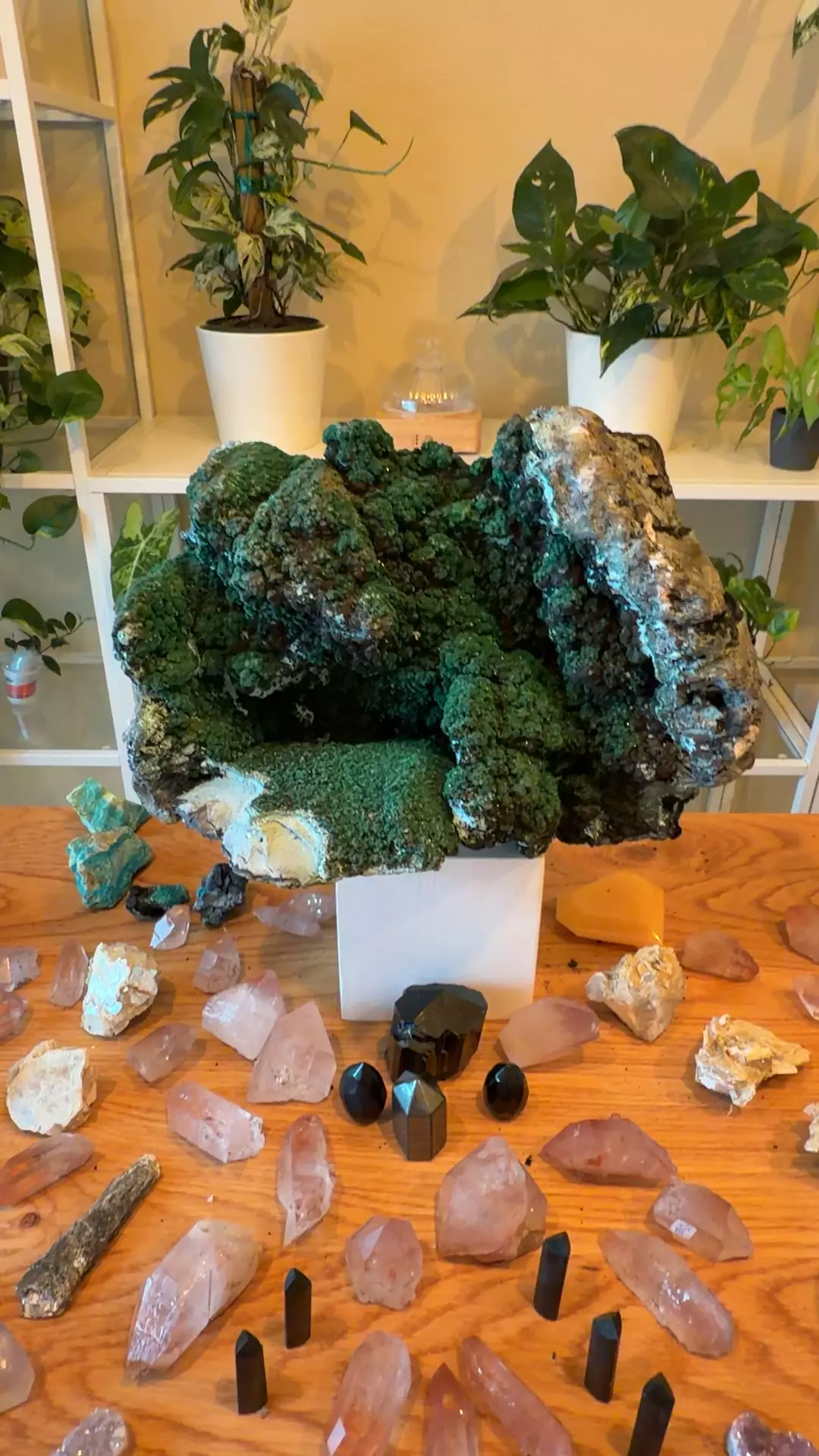 plant/malachite statement 888-0