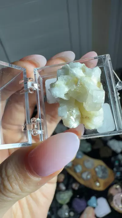 plant/pink Apatite mica-0-thumbnail