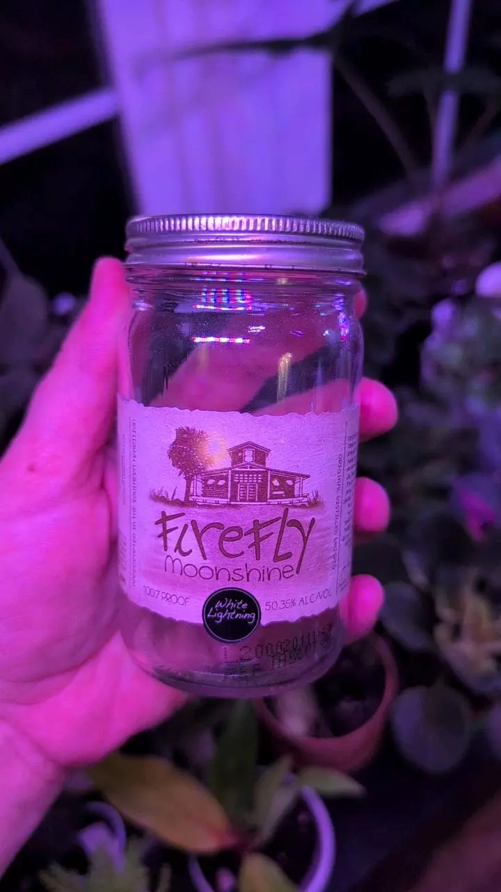 plant/moonshine jar with lid-0