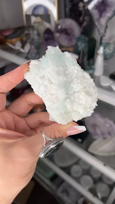 plant/calcite w aragonite $62-0-thumbnail