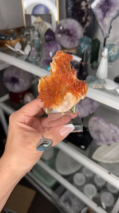 plant/vanadinite on stand $120-0-thumbnail