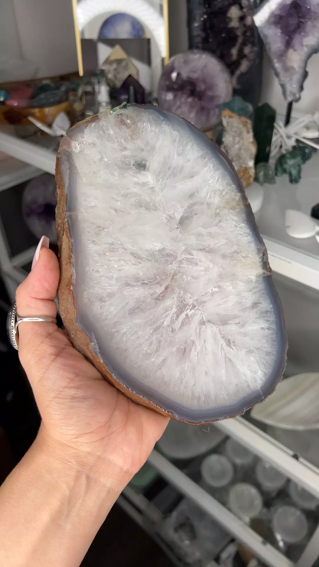 plant/Brazilian Agate Slab 2.65 pounds-0