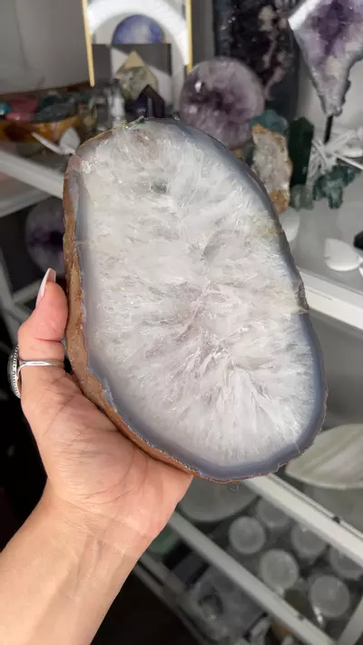 plant/Brazilian Agate Slab 2.65 pounds-0-thumbnail