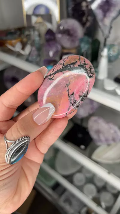 plant/RHODONITE Palm B-0-thumbnail