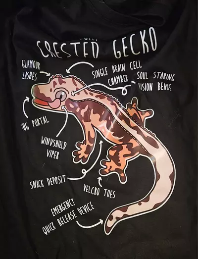 plant/Large Anatomy of a clCrested Gecko Tee Shirt-0-thumbnail