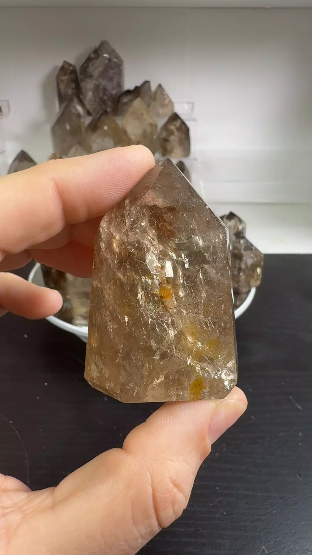 plant/S10.14 Elestial Quartz-0