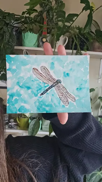 plant/dragonfly watercolor-0-thumbnail