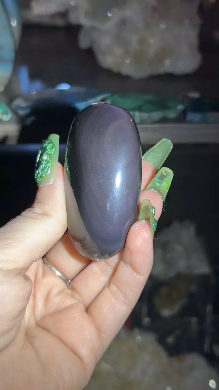 plant/Rainbow Obsidian Freeform-0