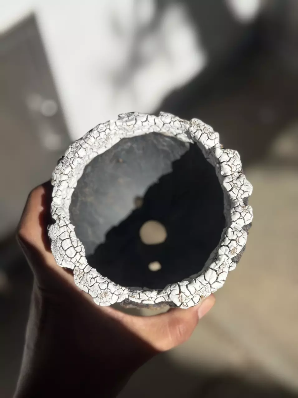 plant/Rockies footed 5x4.75H-1