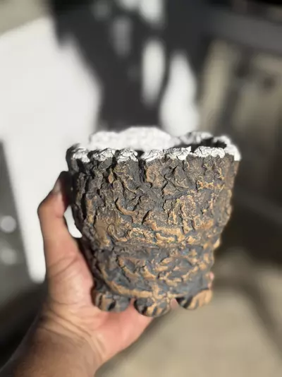 plant/Rockies footed 5x4.75H-0-thumbnail