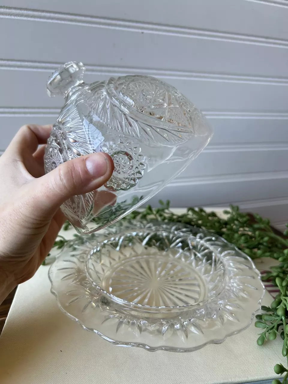 plant/clear domed pressed glass butter dish-1