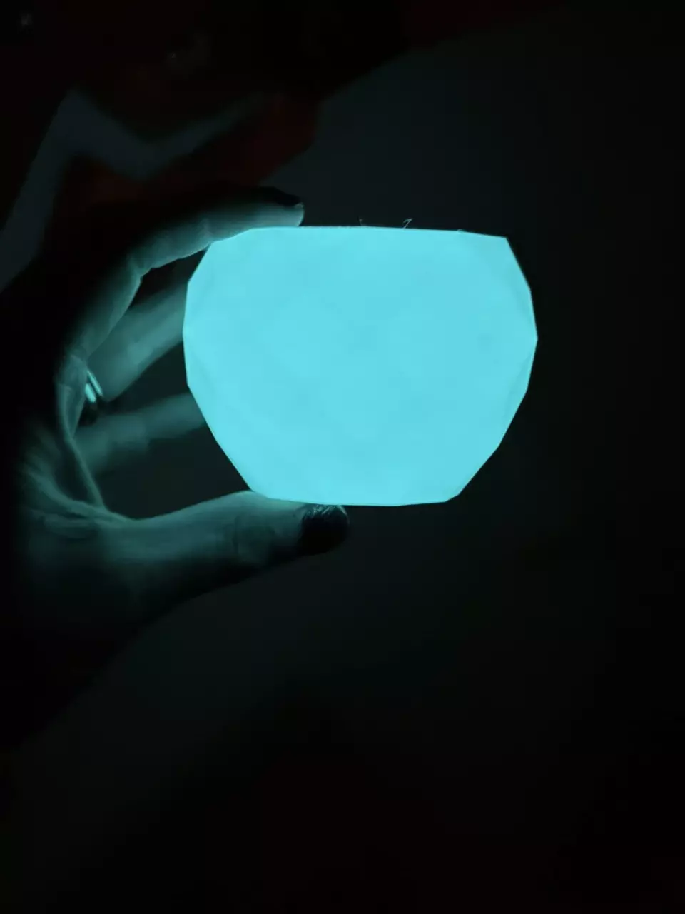 plant/glow in the dark 2” pot holder-0