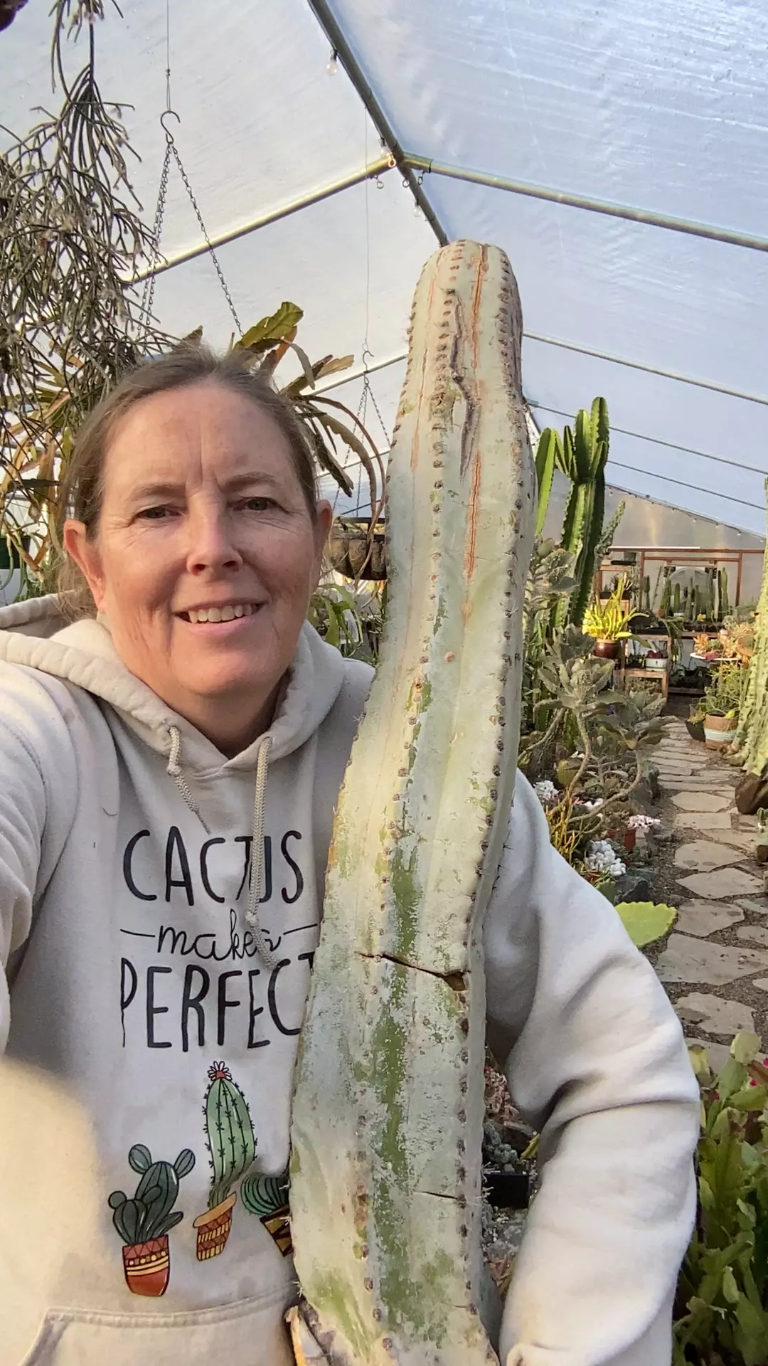 plant/Wolly Rhino mama 36” cutting SALE!!-0