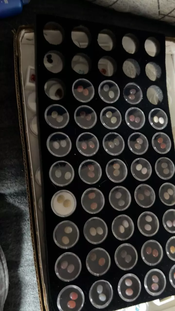 plant/Agate Cab Pairs, 3 for $25-0