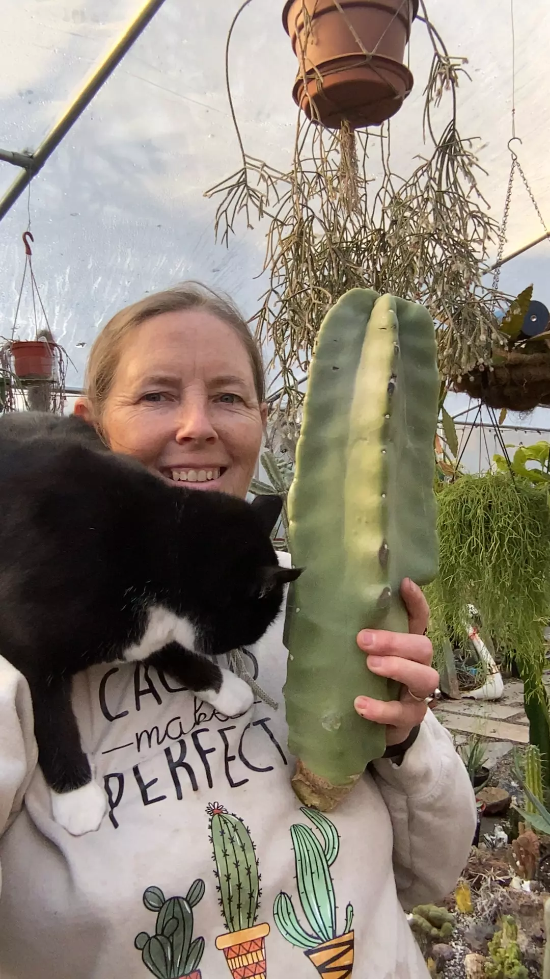 plant/Wooly Rhino 16” cutting-0