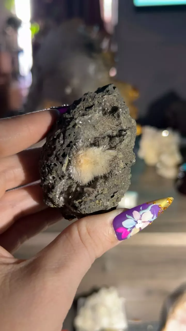 plant/thomsonite mesolite-0