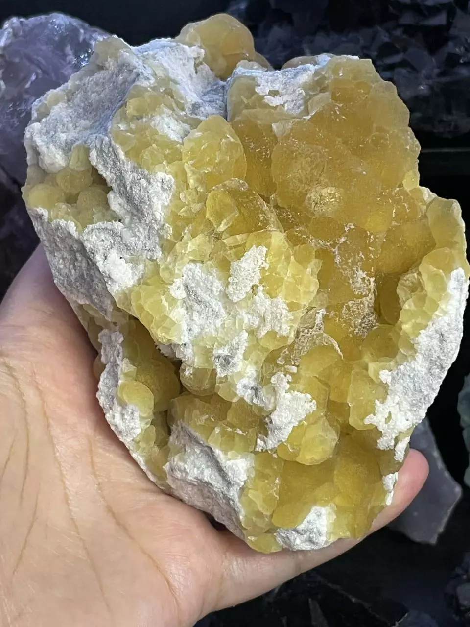 plant/Yellow Fluorite-0