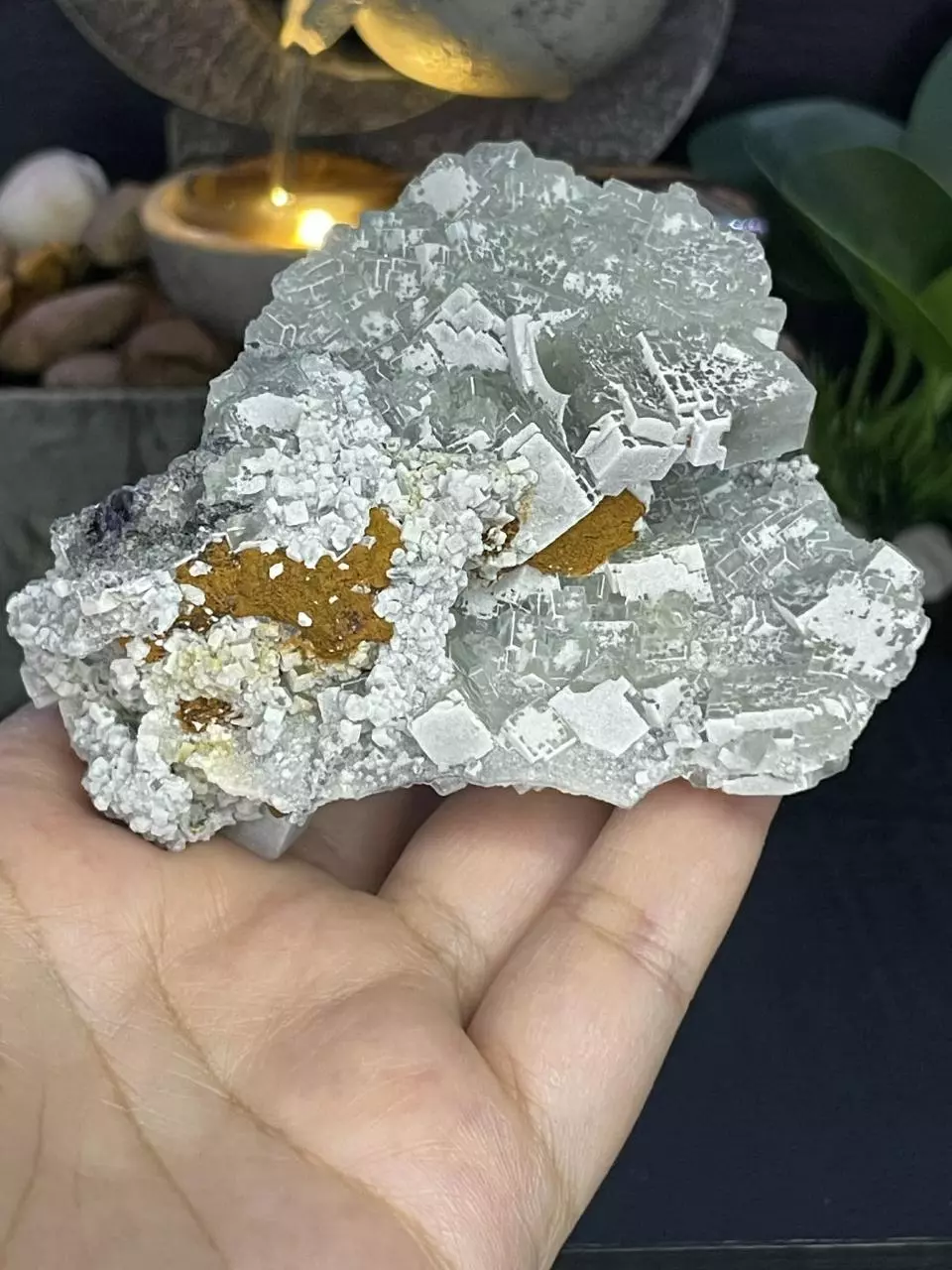 plant/Green Fluorite-0