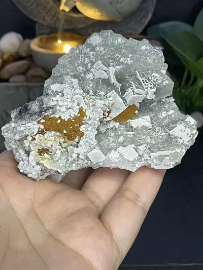 plant/Green Fluorite-0-thumbnail