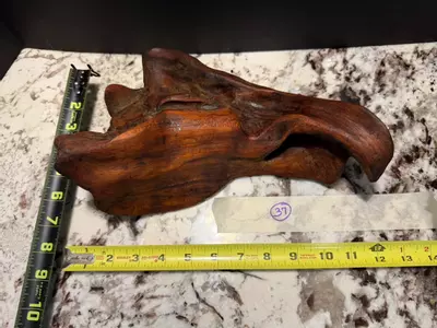 plant/37-0-thumbnail