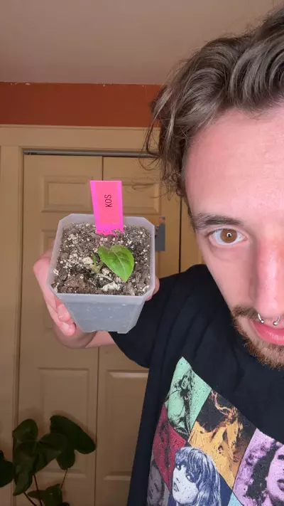 plant/KOS-0-thumbnail