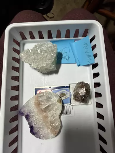 plant/Steph bundle-0-thumbnail