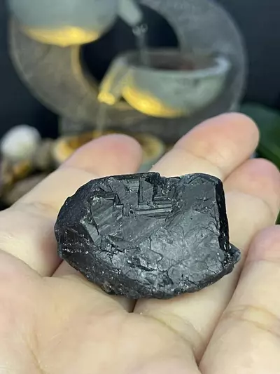 plant/Black Rose Flourite #3-0-thumbnail