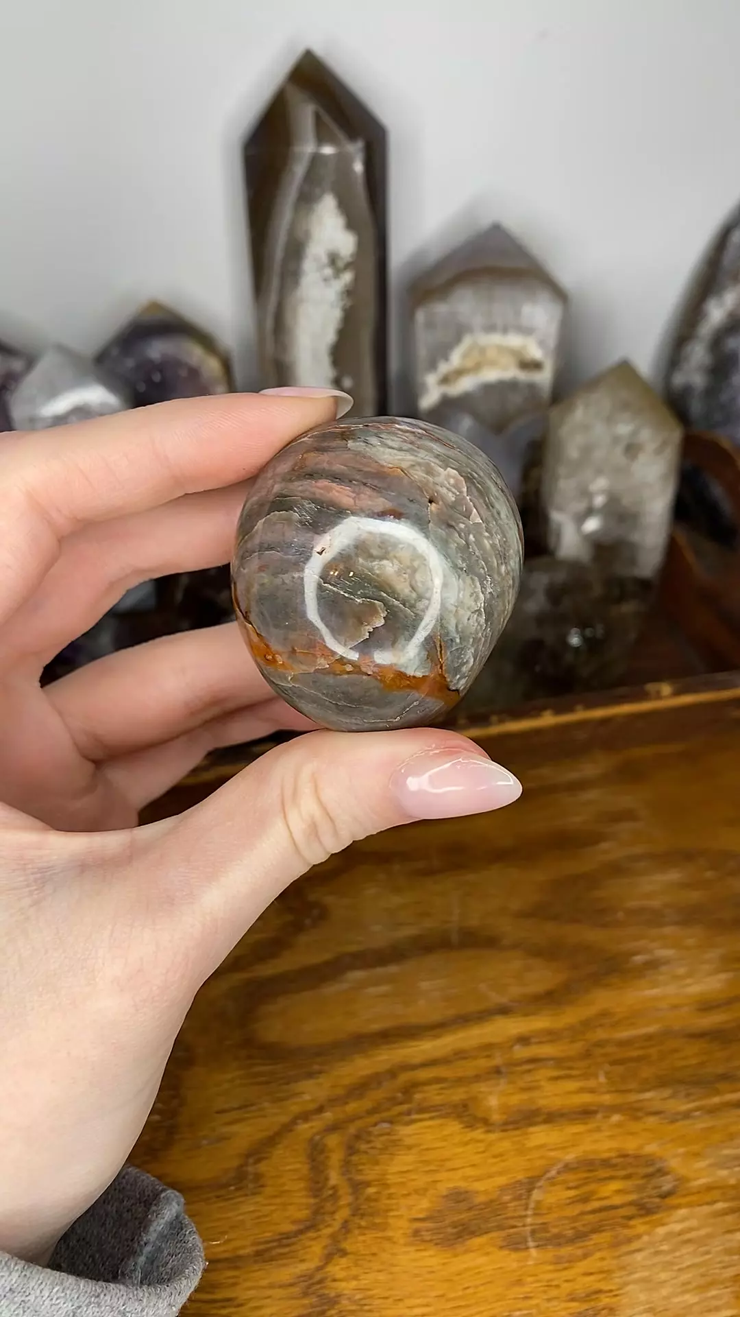 plant/Mystic Jasper Palm from Madagascar-0