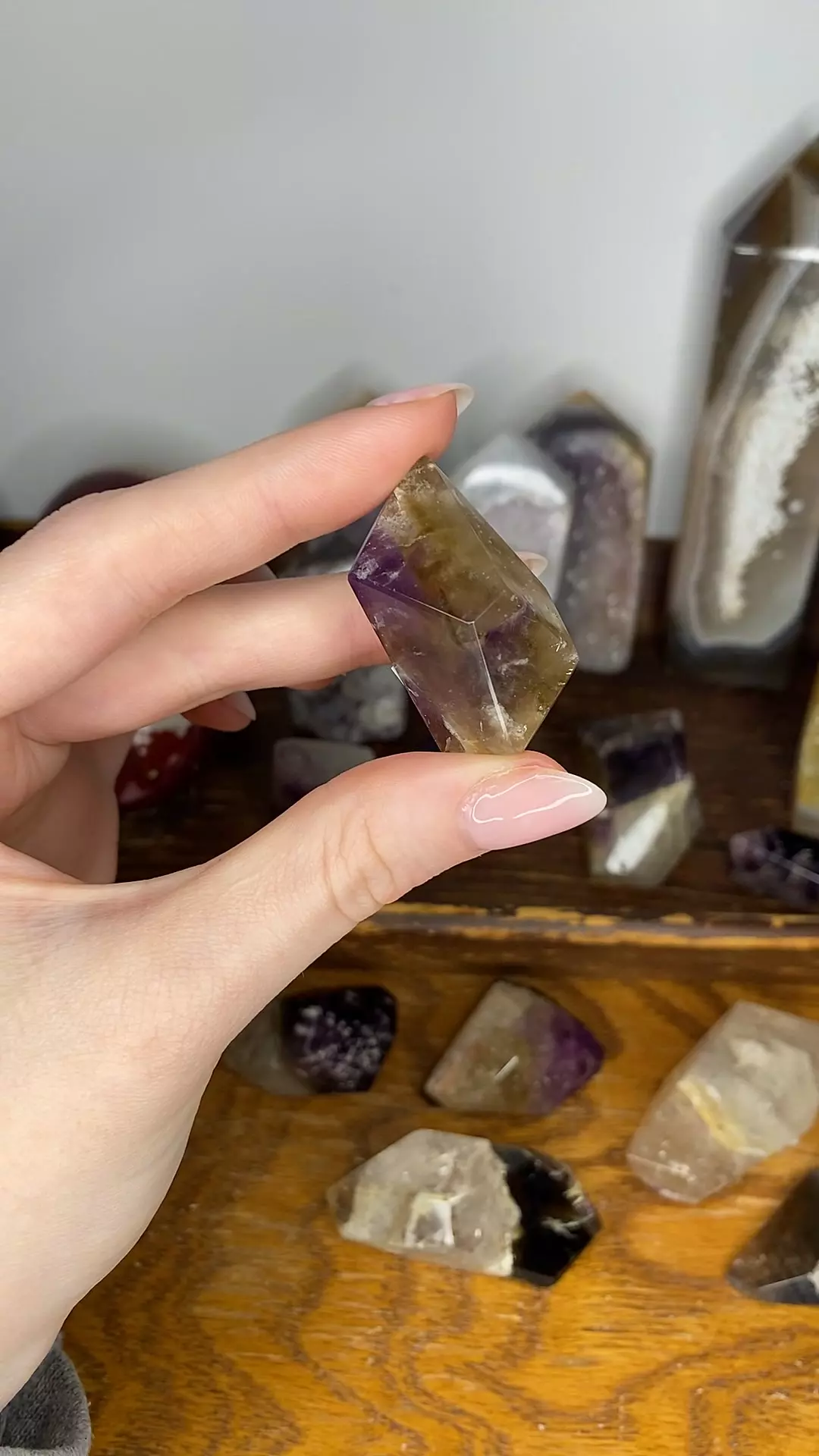 plant/Dreamcoat Amethyst Freeform from Brazil-0