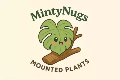 plant/Attend the class without purchasing anything-0-thumbnail