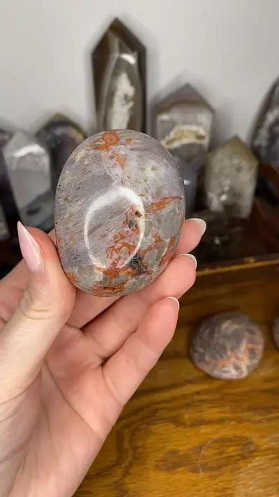 plant/Mystic Jasper Palm from Madagascar “B”-0-thumbnail