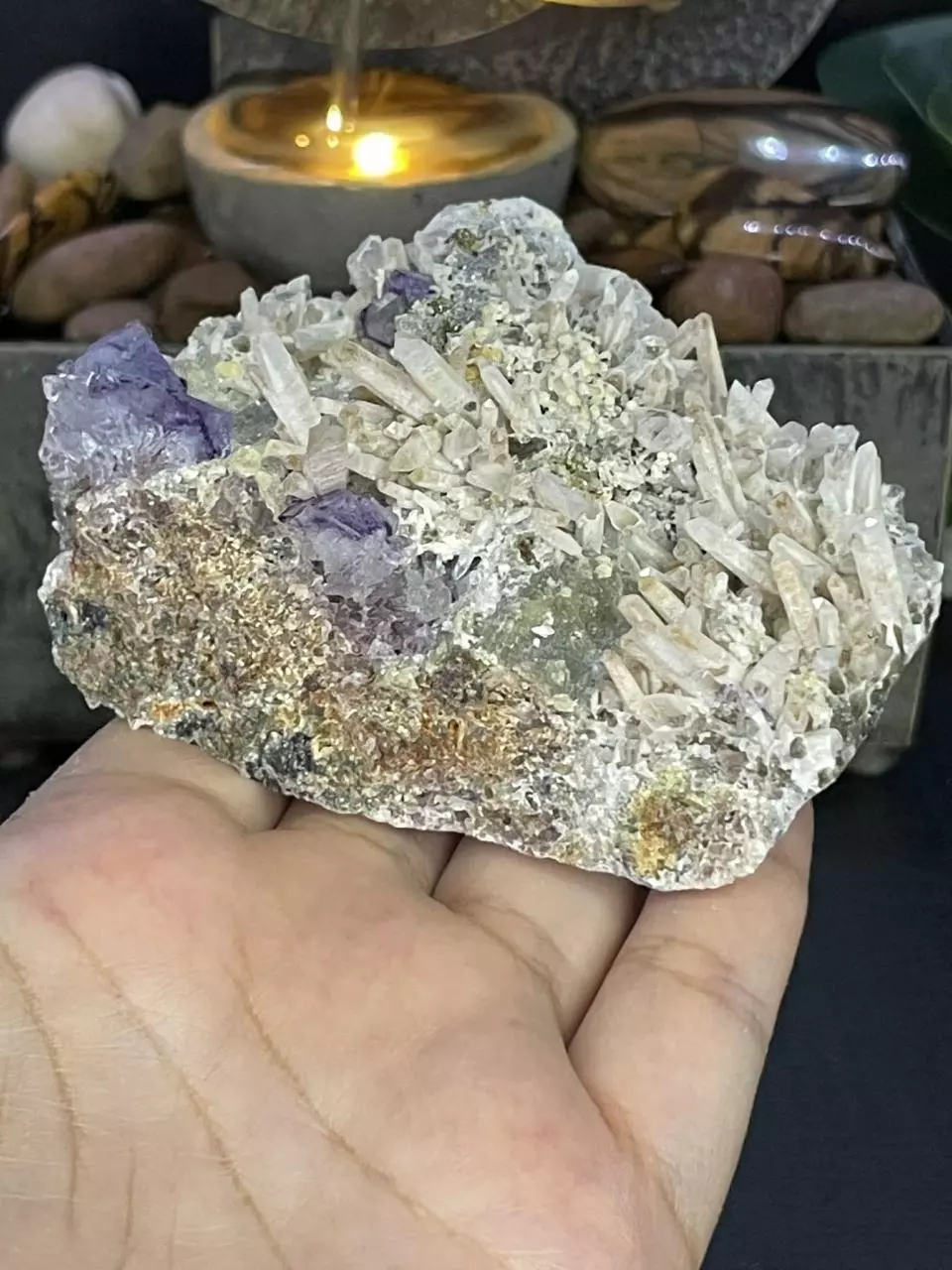 plant/Purple Fluorite & Quartz-0